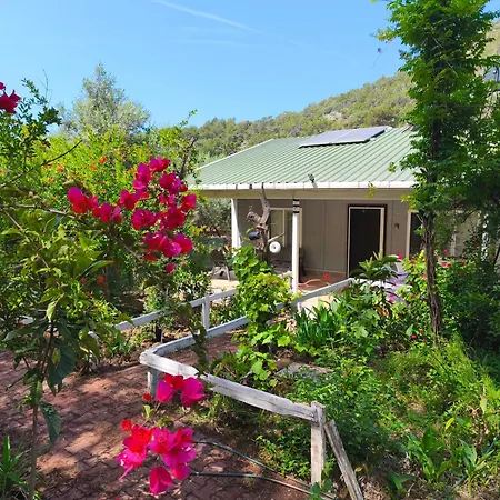 Holiday home Gelidonia Fenerium